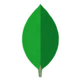 MongoDB